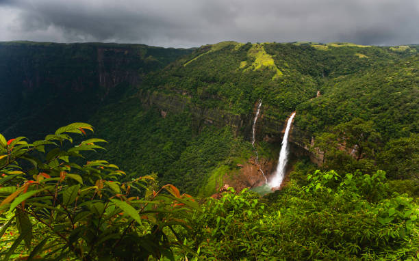 Meghalaya Living Root Bridges